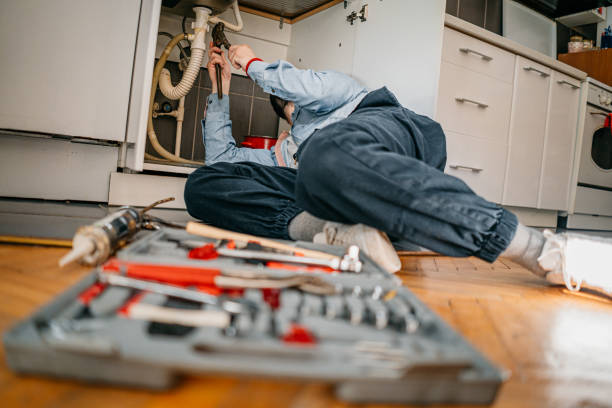 Best Commercial Plumbing Services  in St Peter, WI